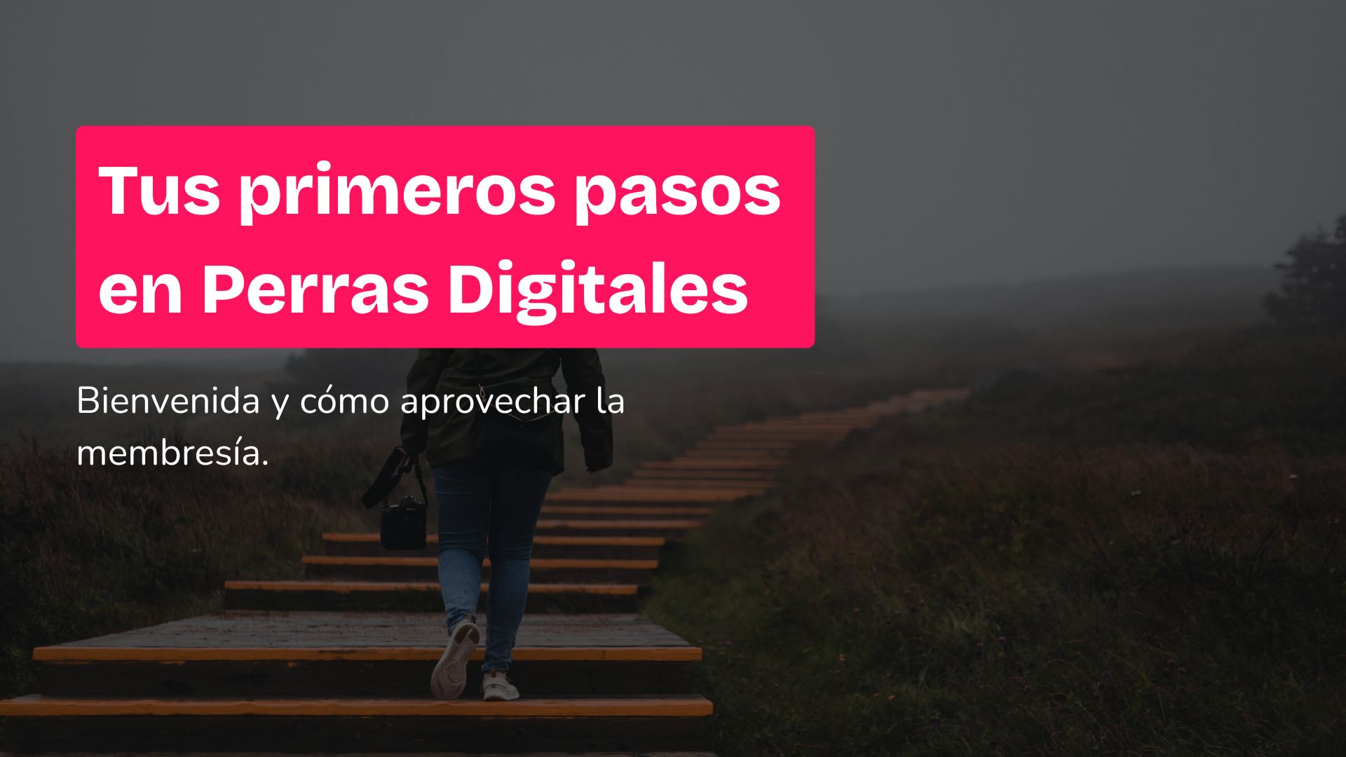 0. Tus primeros pasos en Perras Digitales