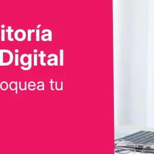 Auditoría ITV Digital: Diagnóstico WPO & UX